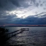Vadszilva