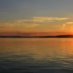 Vadszilva * Balatonőszöd