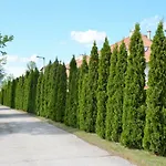 Apartman Vadszilva Balatonőszöd