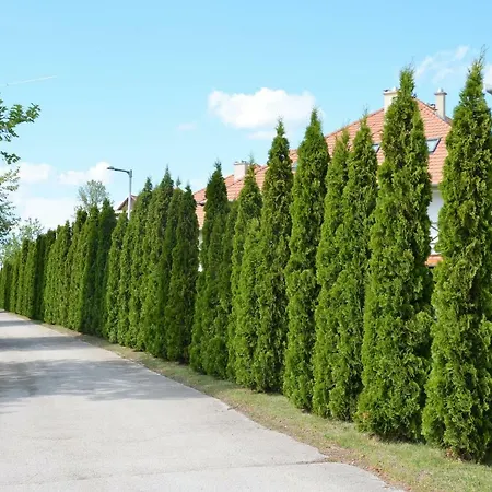 Appartamento Vadszilva Balatonoszod