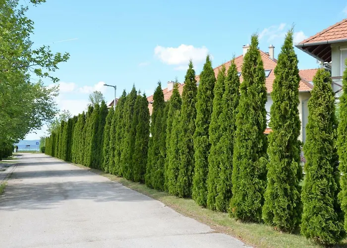 Lägenhet Vadszilva Balatonoszod
